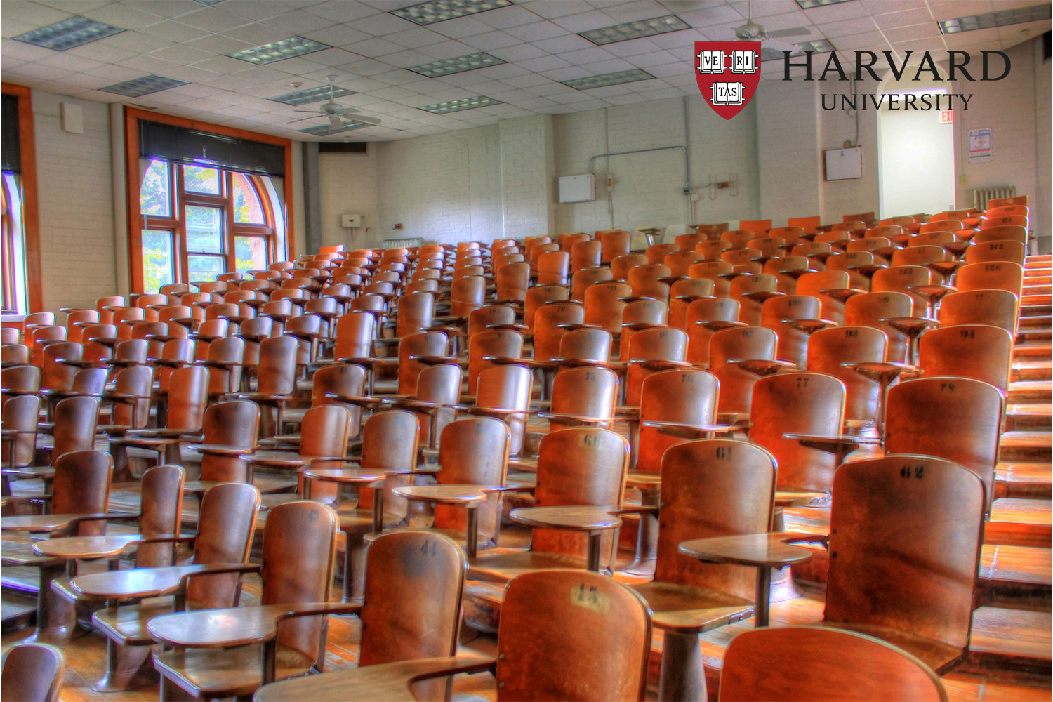 empty wooden chairs in auditorium room