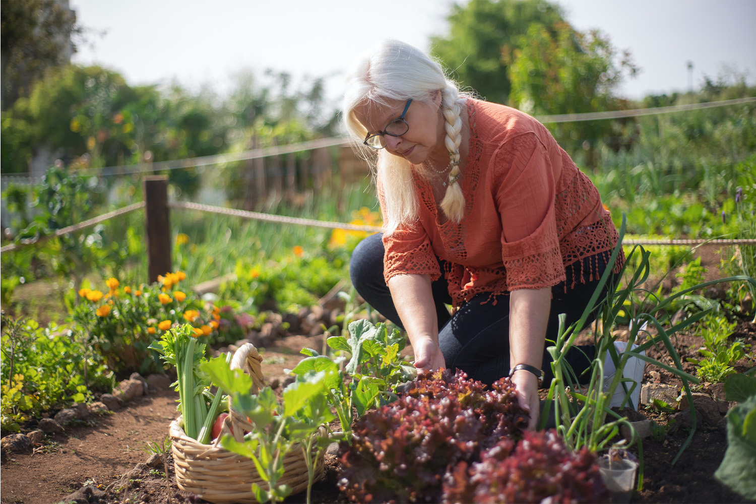 elderly woman knelt down in vegetable garden 