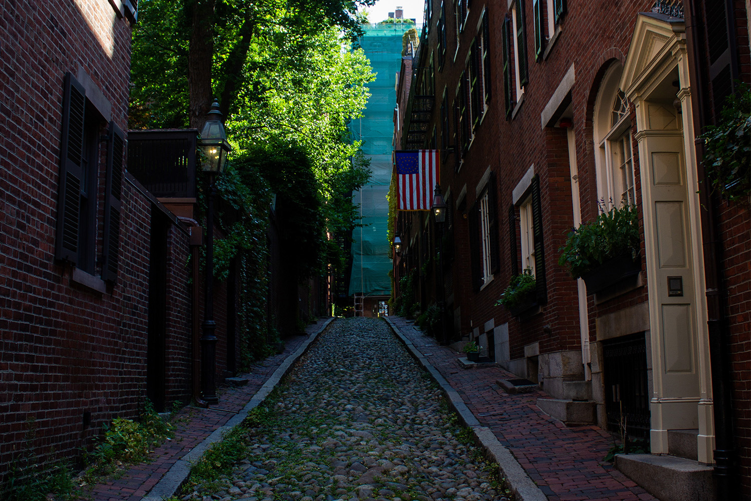 Dusk shot of Beacon Hill homes in Boston, with a mossy cobblestone in the middle
