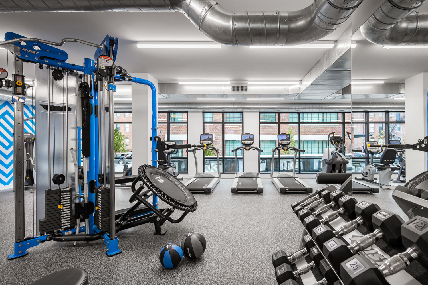 Gym eqipped with top of the line fitness equipment, and ample lighting through windows