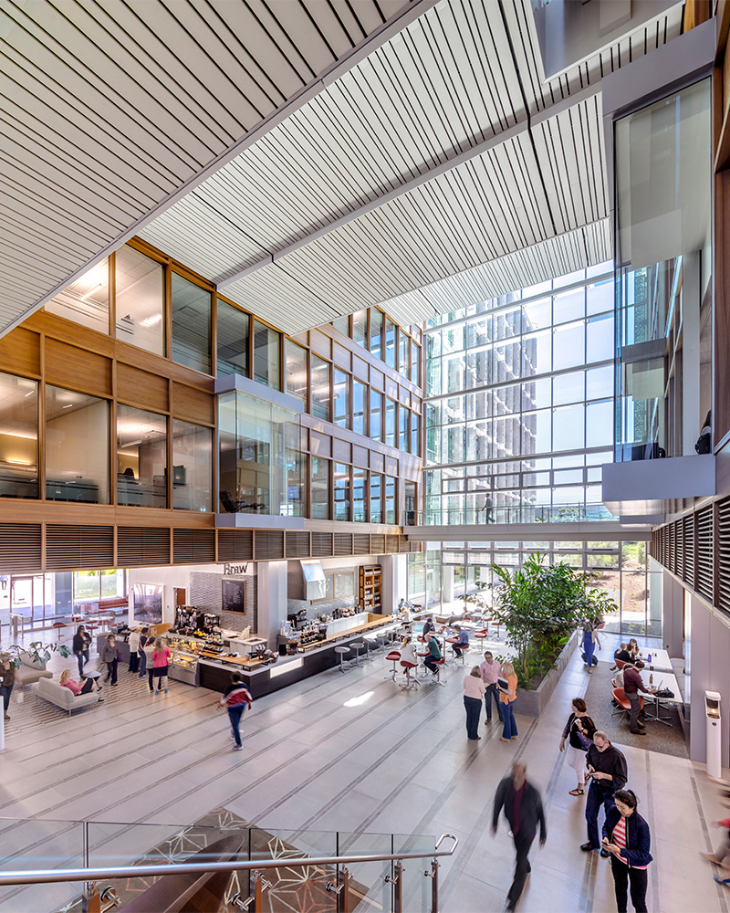 View of lobby area/first floor of Genentech building 