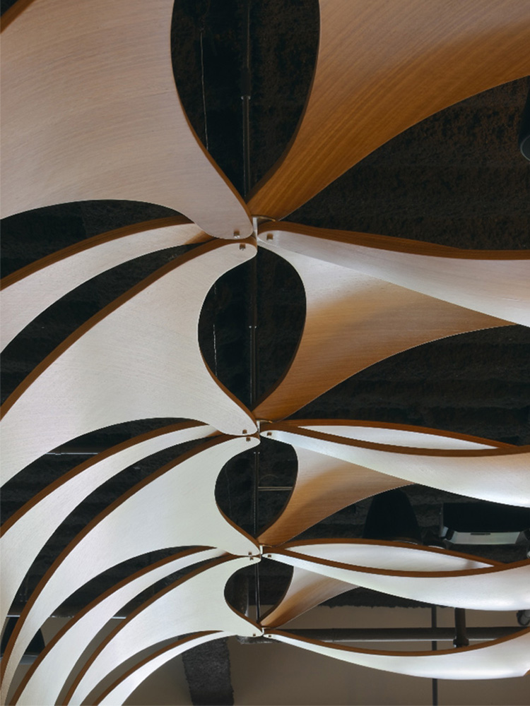 Close-up view of wooden artistic ceiling detail 