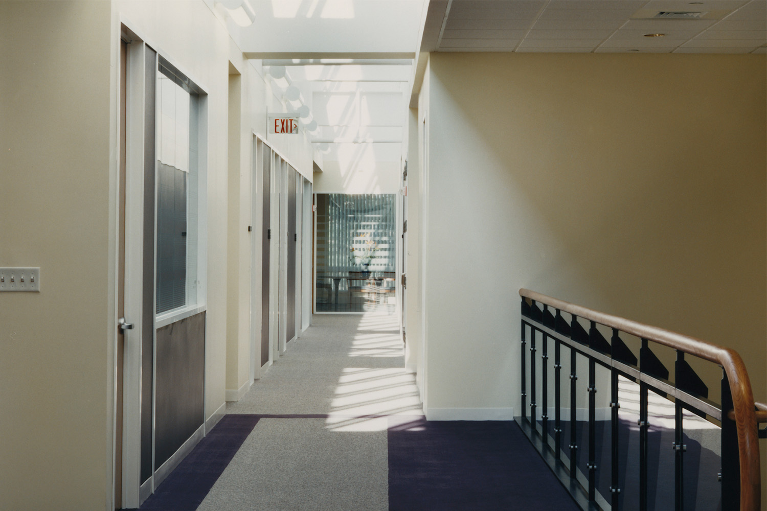 Hallway with stairwell to the right, windows on ceiling, and closed doors to the left 
