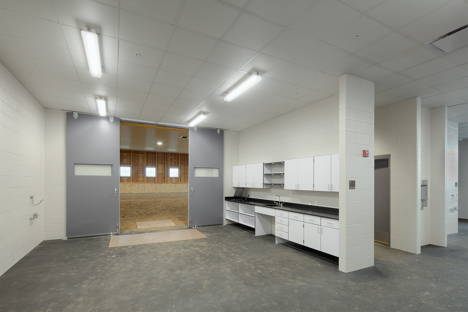 Medical cabinets and metal sink, for health examination of horses