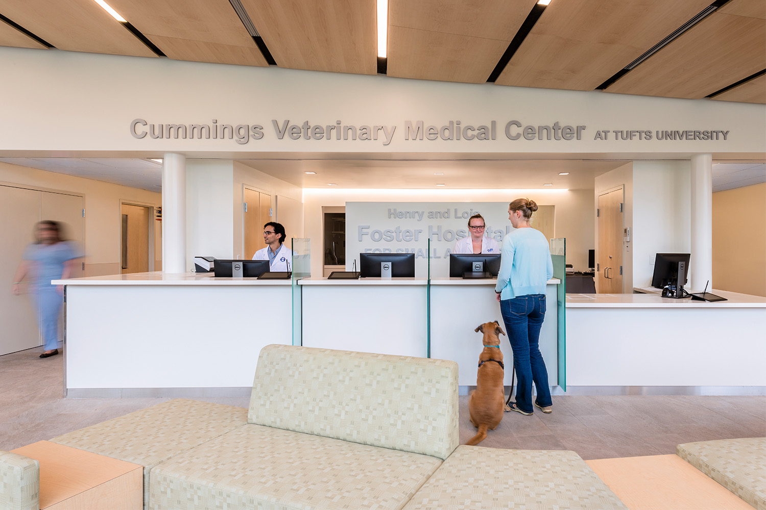 Wide reception desk, with dog and person talking to receptionist for assistance