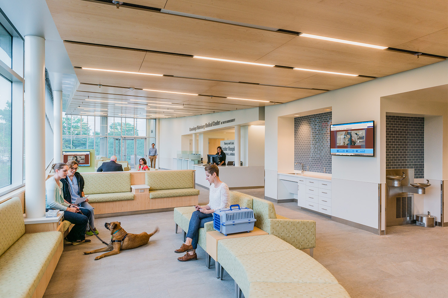 Two people and a dog waiting in hospital lobby