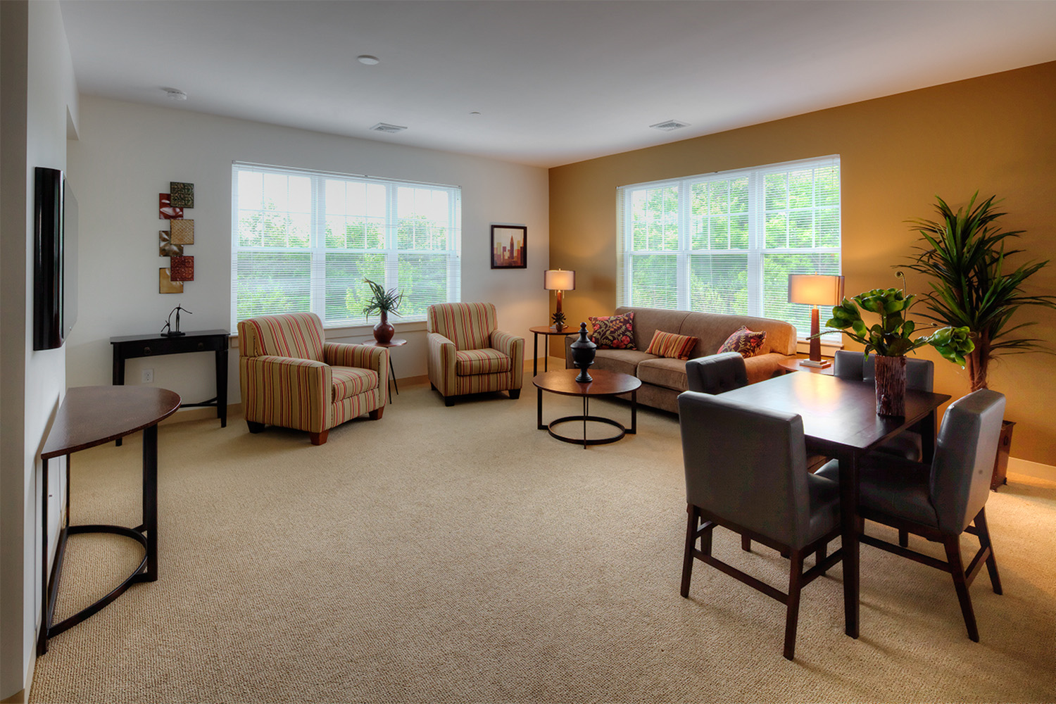 Spacious living room with 2 windows