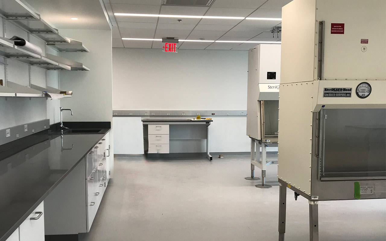 Lab + office area at Torque Therapeutics 