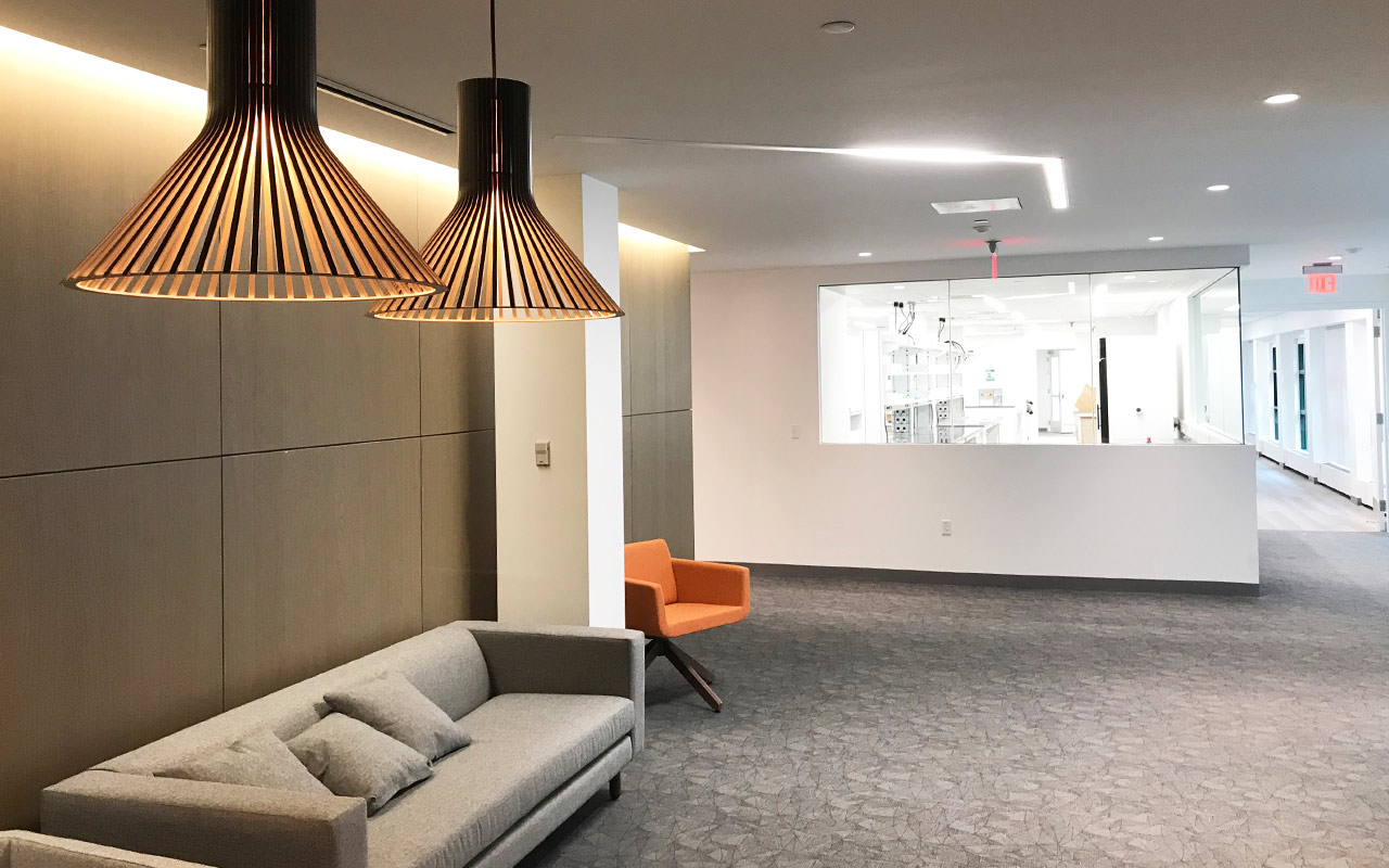 Lobby area with modern light fixtures, next to reception desk