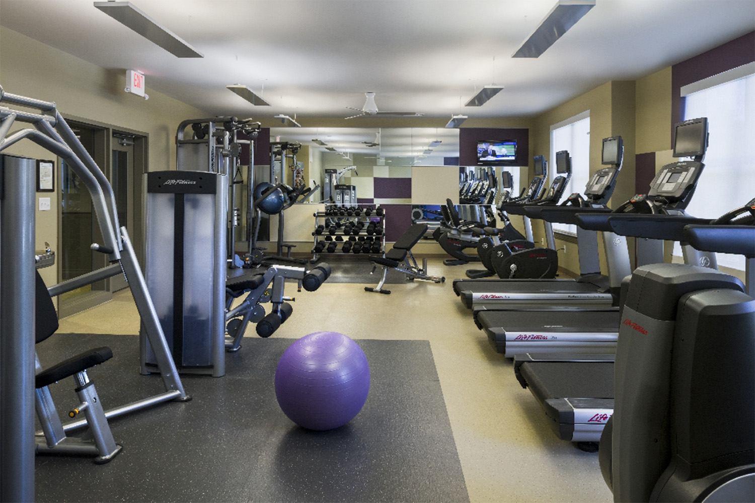 A gym equipped with various exercise machines and a purple exercise ball