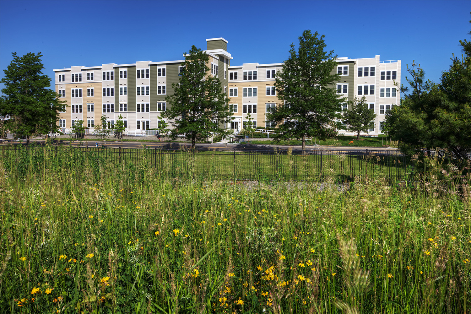 Front exterior view from across lush field 