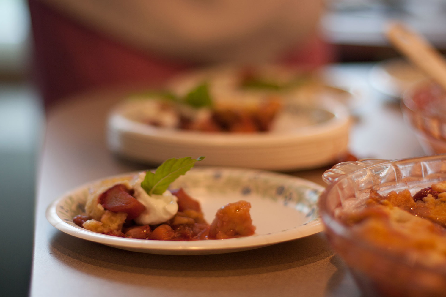 Dessert?  In moderation, according to Nikki and Connie.  Here is a strawberry rhubarb tart garnished with nonfat Greek yogurt and a mint sprig.
