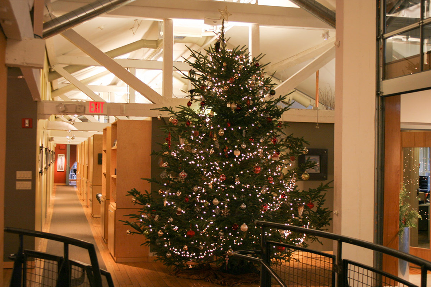 The tree decked from stand to star.