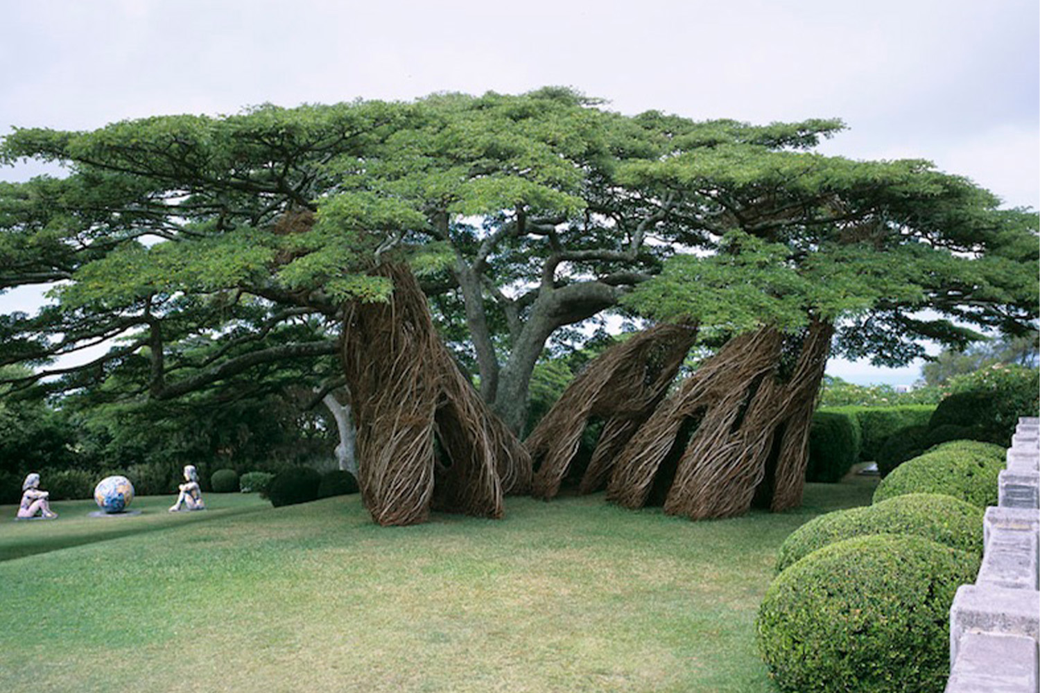 A house made by Patrick Dougherty, formed in a tree trunk and vines
