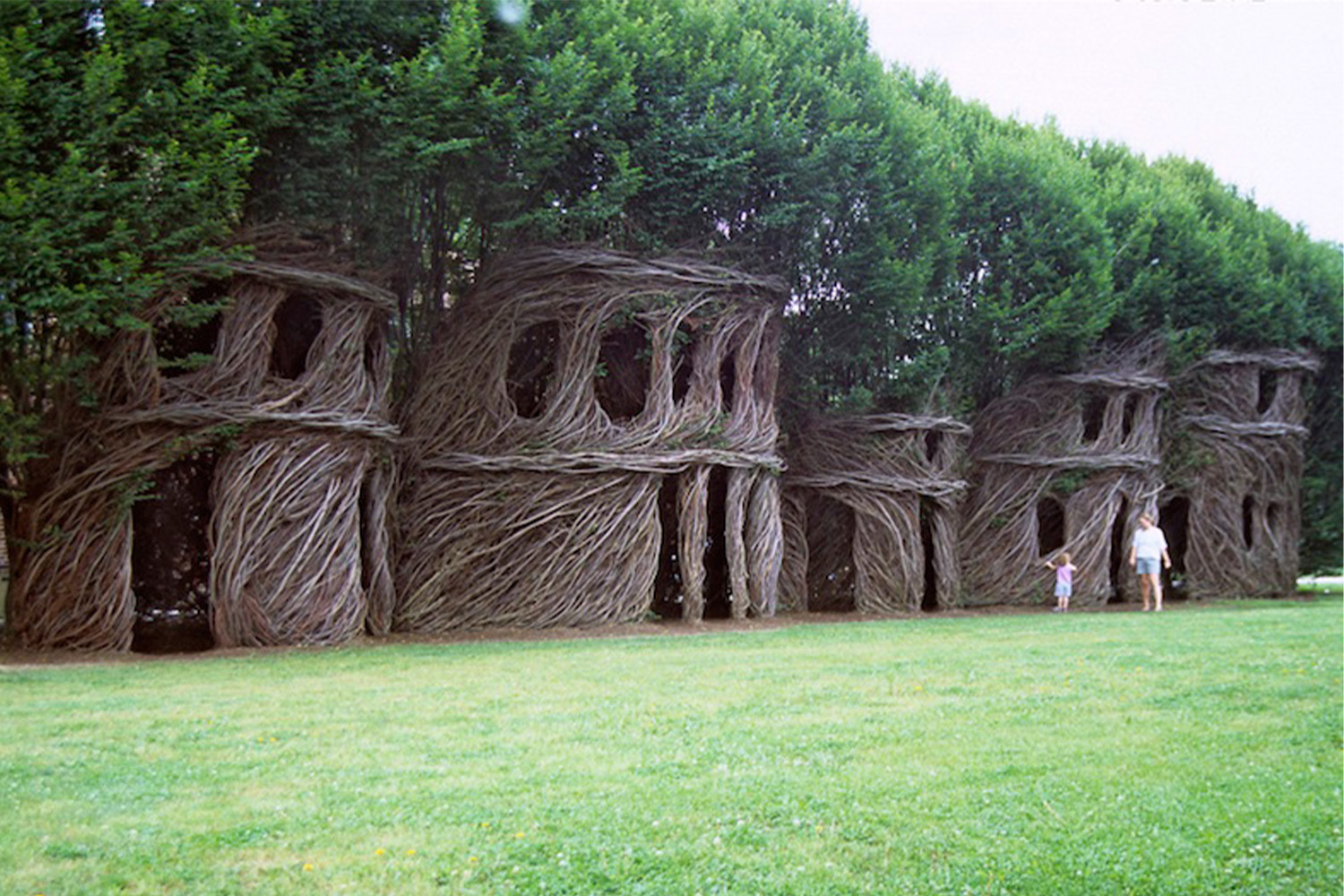 a row of houses made of tree trunks and vines 