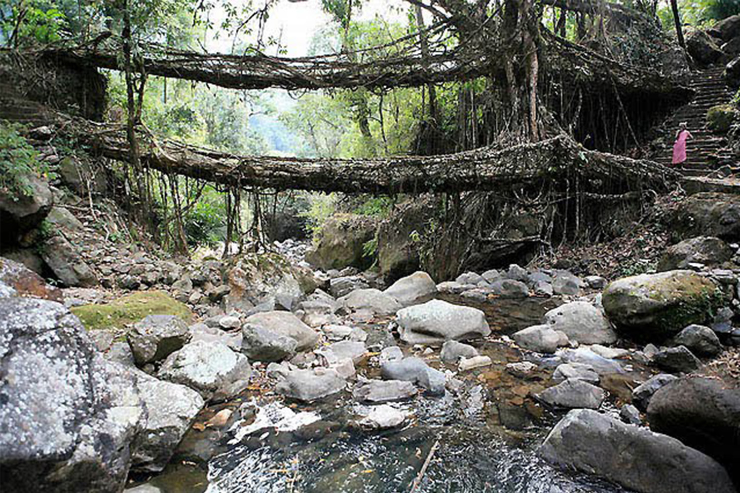 a bridge in India made completely of rope