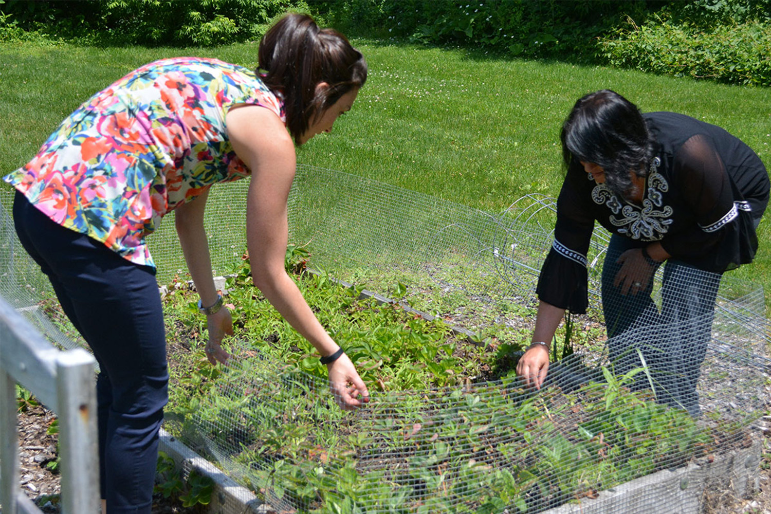 Katie and Tammi help the garden crew out with some lunchtime maintenance. 