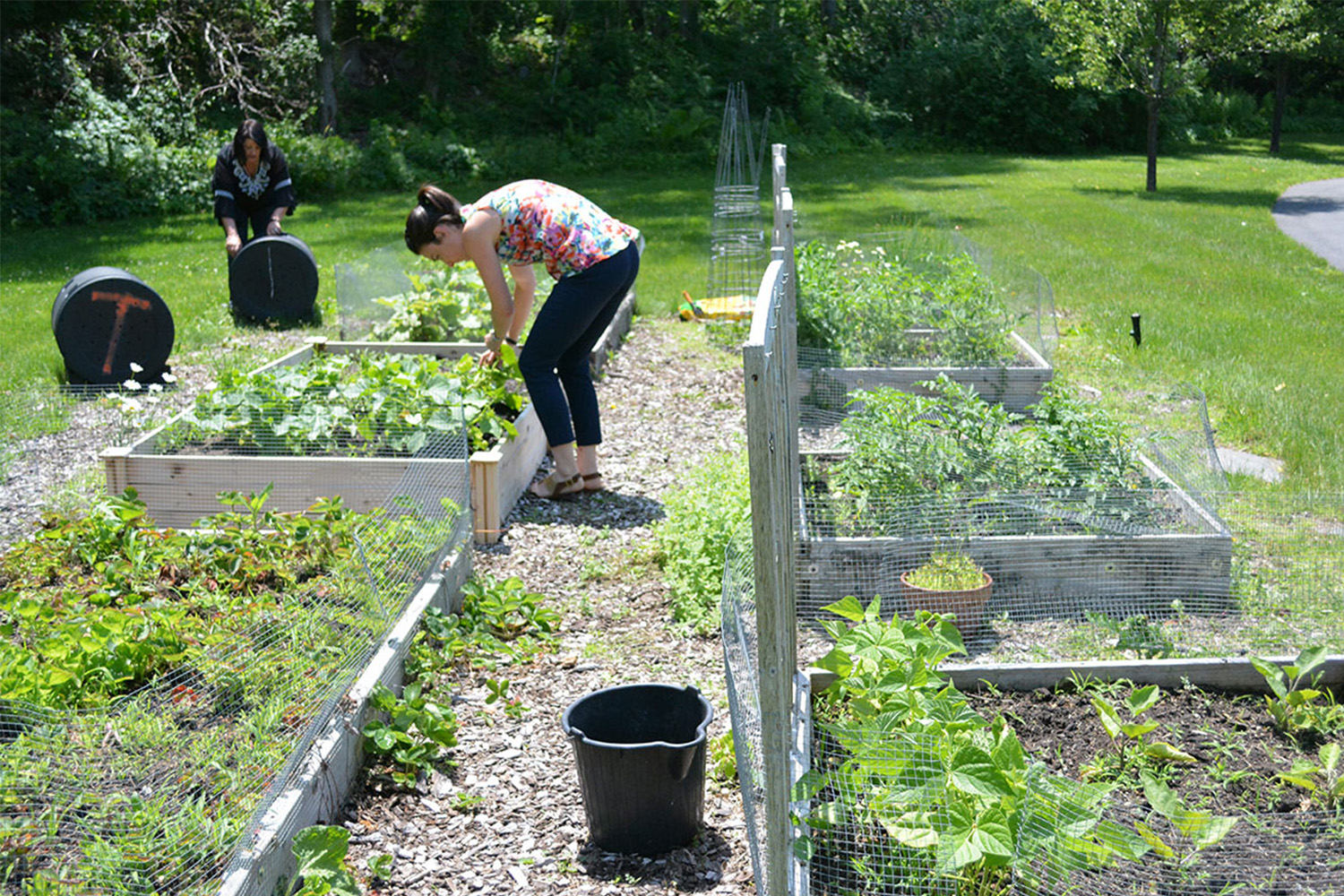 Tammi and Katie tending to the Tocci garden 