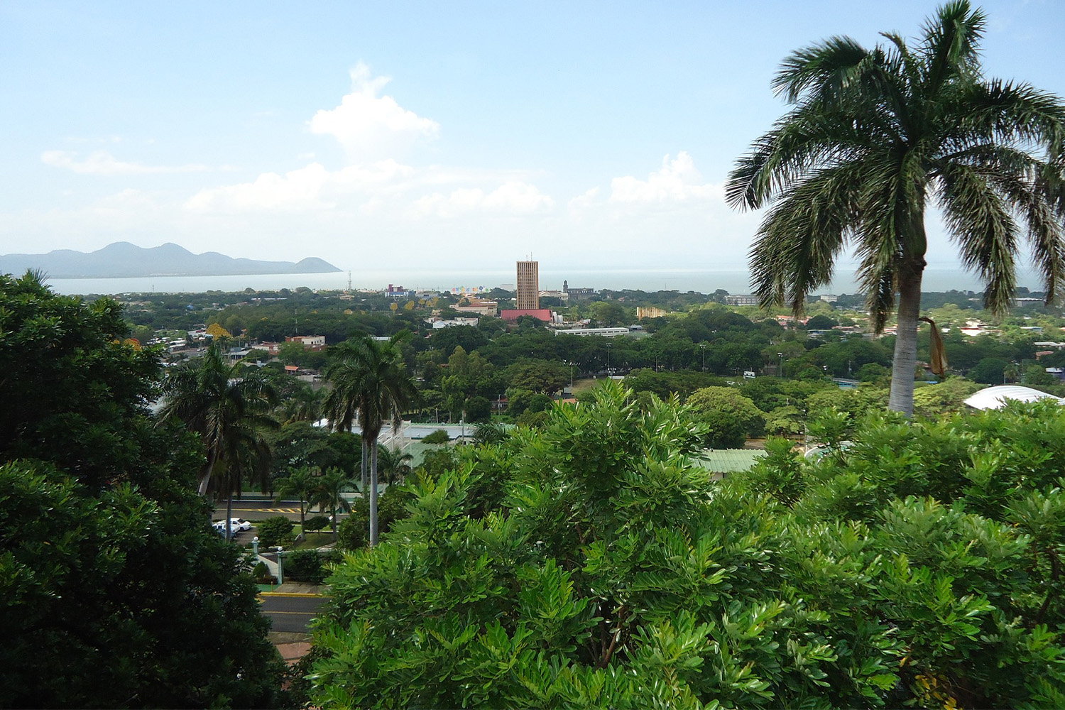 An aerial view of lush forest land in Managua, Nicaragua 