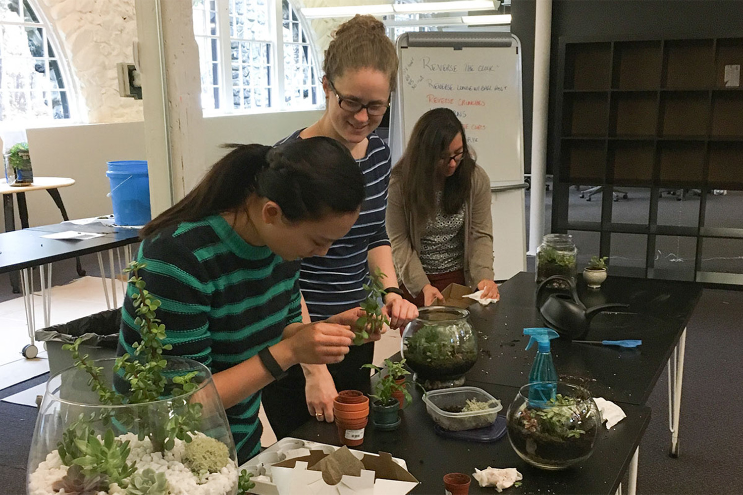 Tocci employees making terrariums