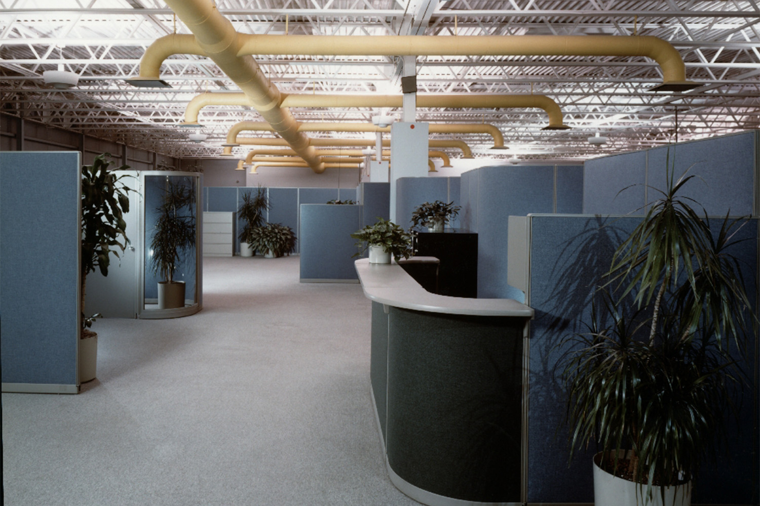 office area with blue cubicles 