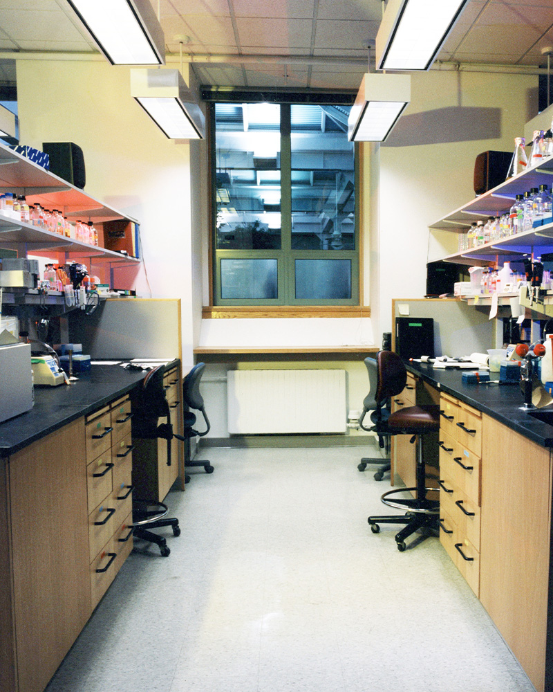 view of working station at Harvard Cancer Center lab