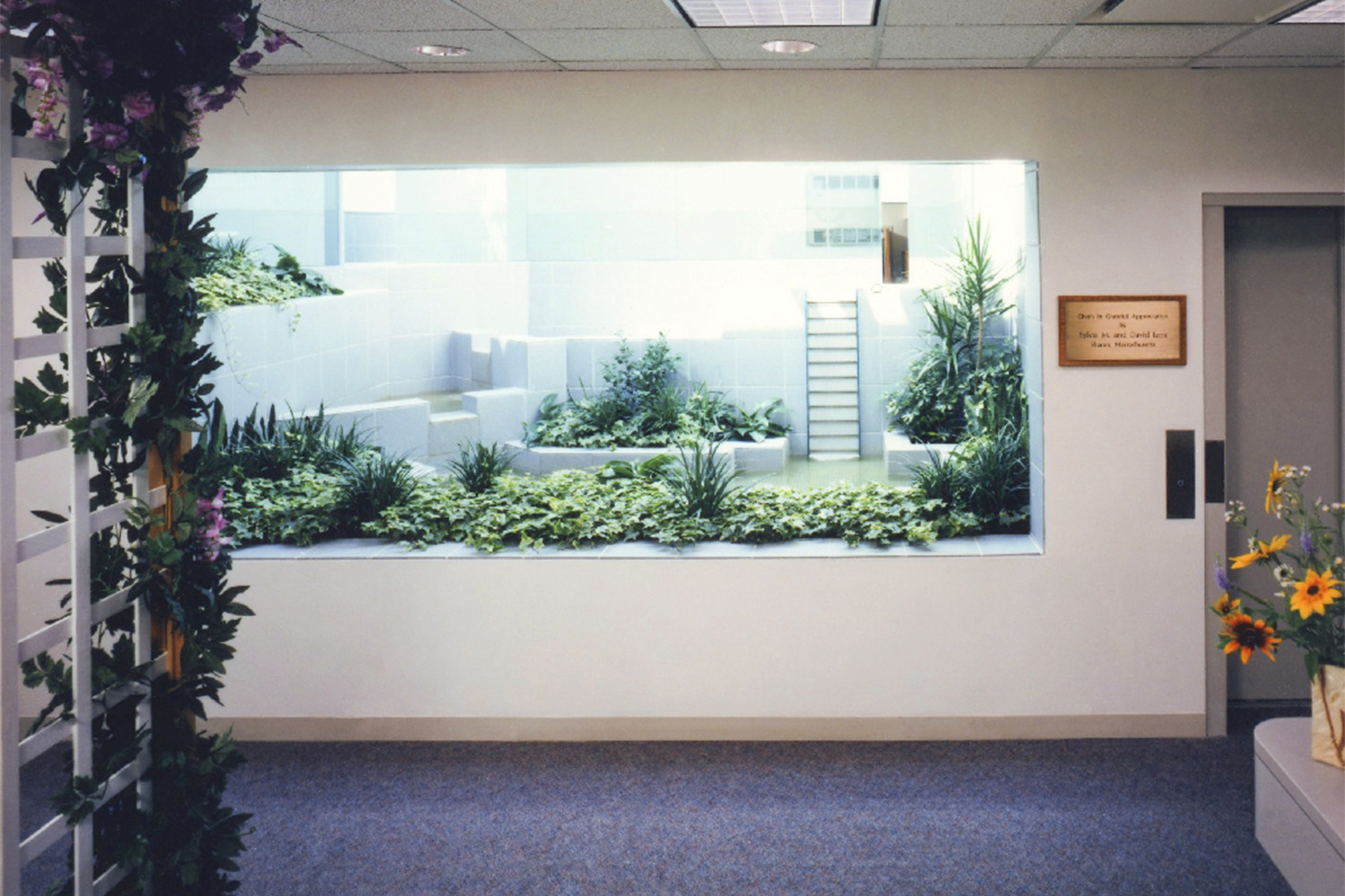 plants in front of internal window at oncology center 