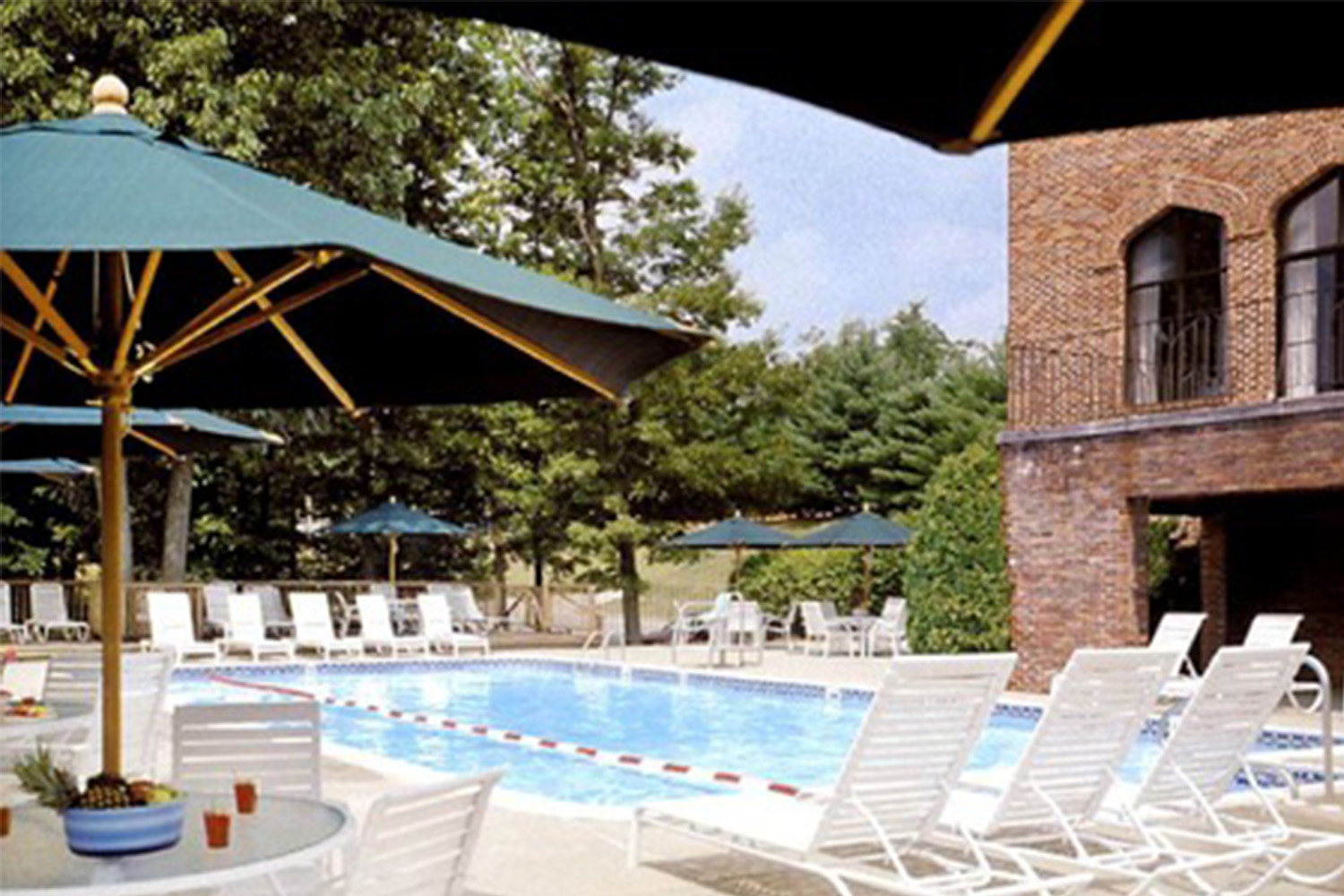 green beach umbrella next to outdoor pool 