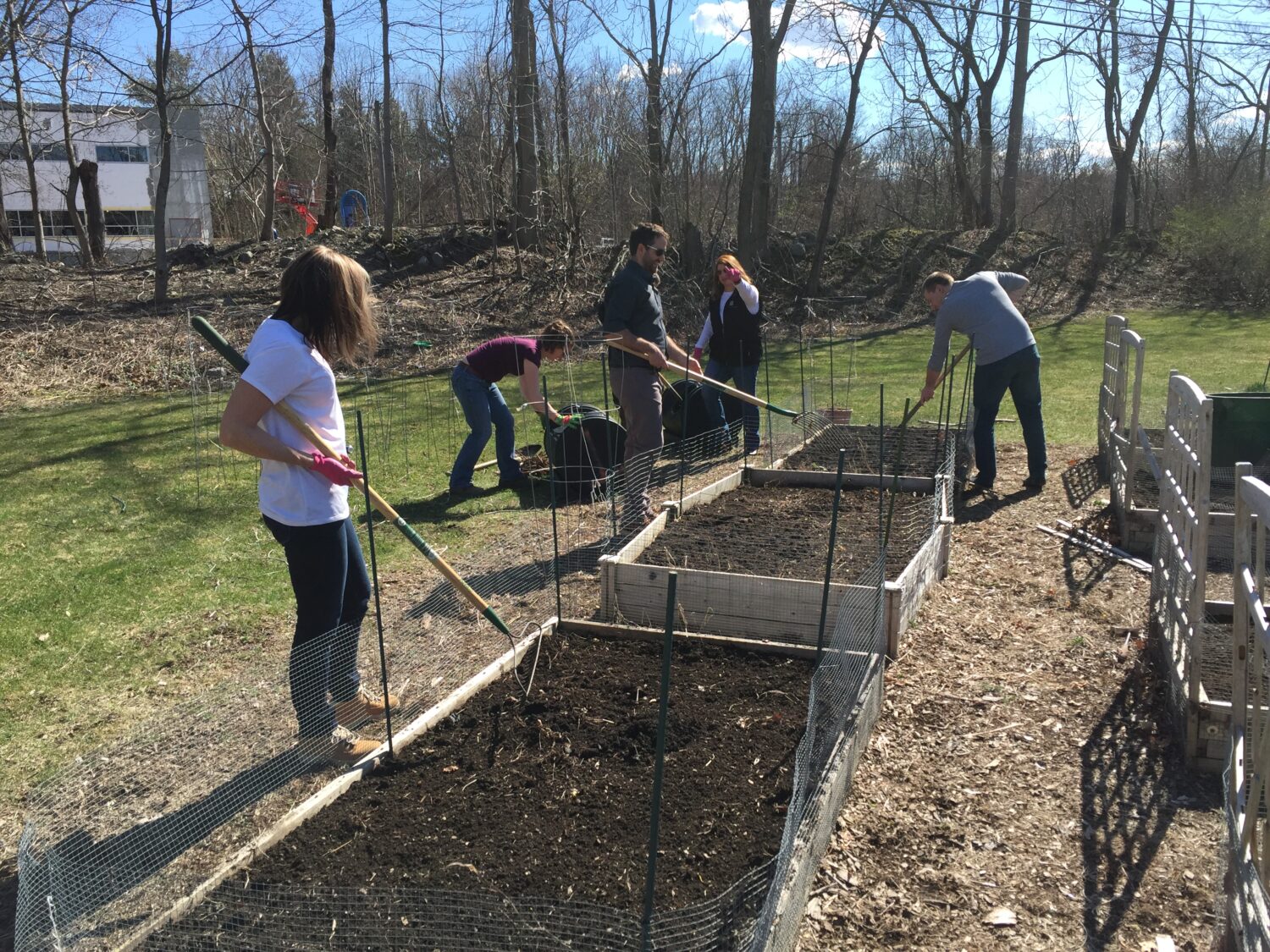 Tocci employees till through raised garden bed 